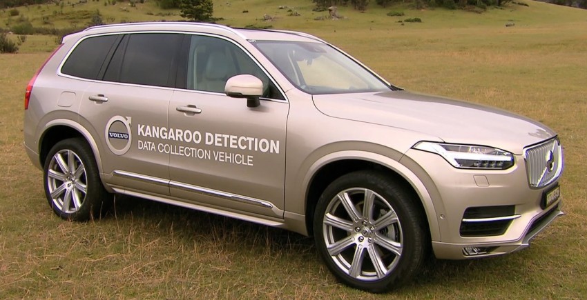 Volvo kangaroo detection and collision avoidance system currently being developed in Australia 401448