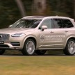 Volvo kangaroo detection and collision avoidance system currently being developed in Australia