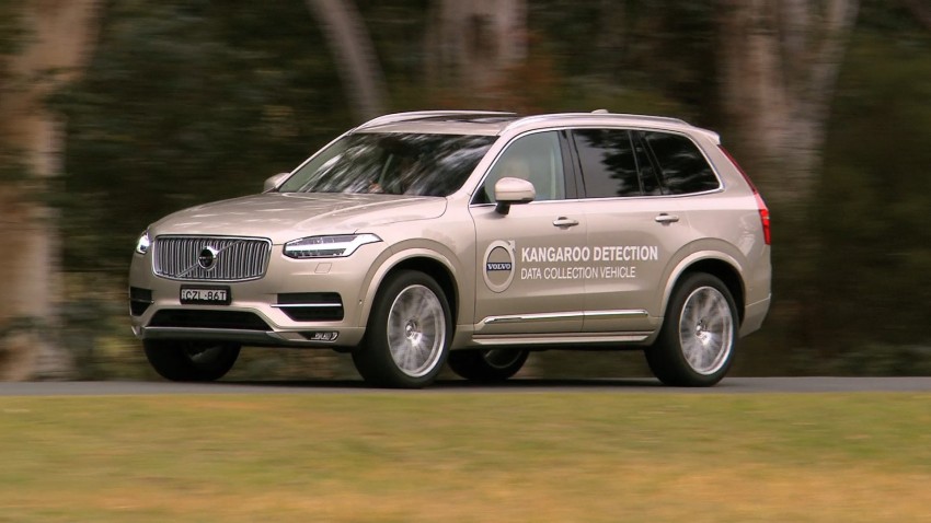 Volvo kangaroo detection and collision avoidance system currently being developed in Australia 401449
