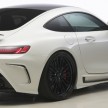 Mercedes-AMG GT with Wald Black Bison kit debuts