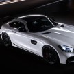 Mercedes-AMG GT with Wald Black Bison kit debuts