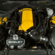 Shelby Terlingua Racing Team Mustang sports 750 hp