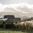 VIDEO: 2017 Honda Ridgeline makes the sheep sing