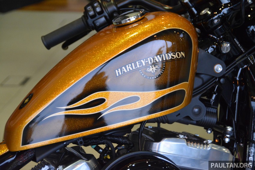 2016 Harley-Davidson Iron 883 and Forty-Eight Dark Customs in Malaysia – RM89,000 and RM106,000 461893