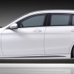 Mercedes-AMG C63 talaan Piecha Design – Rottweiler