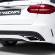 Mercedes-AMG C63 talaan Piecha Design – Rottweiler