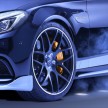 Mercedes-AMG C63 talaan Piecha Design – Rottweiler