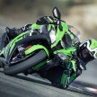 2016 Kawasaki ZX-10R adds 16 hp with Akrapovic