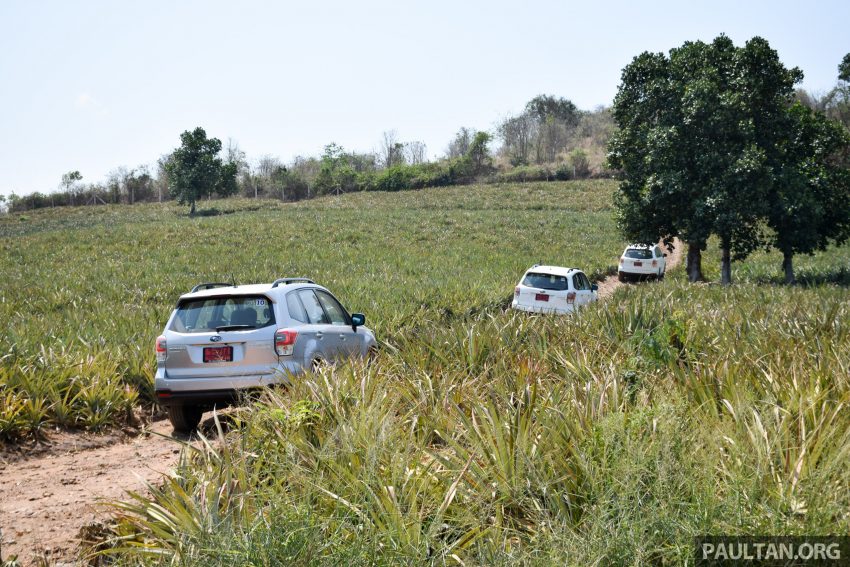 DRIVEN: Subaru Forester 2.0i-P – a worthy alternative? 480279