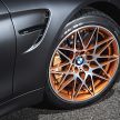 BMW M4 DTM Champion Edition – tanda penghargaan gelaran juara musim 2016, terhad 200 unit sahaja