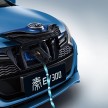 BYD claims it makes the world’s best electric cars