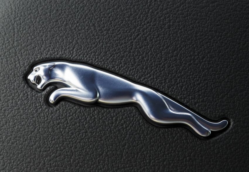 DRIVEN: Jaguar F-Pace – a go-anywhere Leaping Cat Image #496937