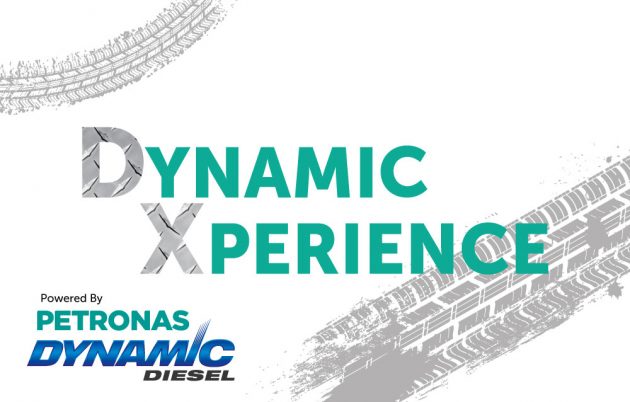 Dynamic-Xperience-artwork