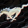 Ford Mustang Shelby FP350S – kereta lumba terus dari kilang, untuk pasaran awam di Amerika Syarikat