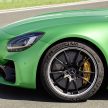 Mercedes-AMG GT R 2018 didedahkan secara rasmi