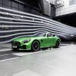 Mercedes-AMG GT R revealed – 577 hp and 699 Nm