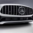GIIAS 2017: Mercedes-AMG GT R, the Green Hell beast