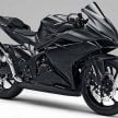 VIDEO: Penampilan ringkas Honda CBR250RR 2016