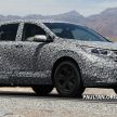 SPYSHOTS: 2017 Honda CR-V – next-gen caught again