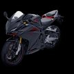 GALERI: Honda CBR250RR – Gambar keseluruhan