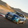 Ford Mustang Shelby GTE – if the GT350 is too much