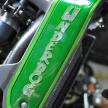 Kawasaki Vulcan S “The Underdog” – 150 hp with NOS