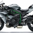 Kawasaki Ninja H2 Carbon 2017 – terhad 120 unit