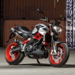 Aprilia Shiver 900 2017 – 896 cc, 95 hp, 89.4 Nm