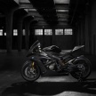 BMW HP4 Race guna kerangka, rim gentian karbon