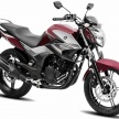2017 Yamaha FZ250 to launch in India on January 24