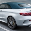 Mercedes-AMG launches GT C Roadster Edition 50, special editions of C63 Cabriolet and C43 models