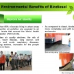B10 biodiesel implementation in Malaysia – we speak with MPOB’s biodiesel researcher, Dr Harrison Lau