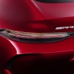 SPYSHOTS: Mercedes-AMG GT4 to get E-Class dash?