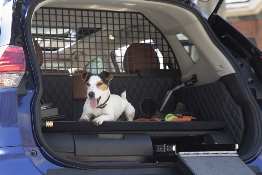 Nissan Rogue Dogue concept just sounds paw-fect 643688