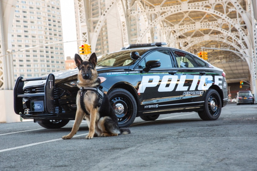 Ford Police Responder Hybrid – sedan hibrid pertama dengan kemampuan penuh untuk mengejar penjahat 643269