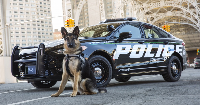 Ford Police Responder Hybrid Sedan – industry first 643239