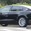 SPYSHOT: Tesla Model 3 dijumpai melakukan ujian
