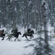 Win premiere screening passes and merchandise for <em>War For The Planet Of The Apes</em> – <em>Driven Movie Night</em>