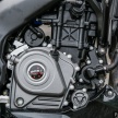 QUICK LOOK: 2017 Modenas Pulsar RS200, NS200