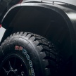 Peugeot 3008 DKR Maxi unveiled with wider track