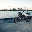 Husqvarna Vitpilen 401 dan Svartpilen 401 2018 akan dikeluarkan di India melalui KTM dan Bajaj Auto