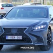 SPYSHOTS: Lexus LS mule – could this be the LS F?