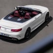 C217 Mercedes-Benz S-Class Coupe and A217 S-Class Cabriolet facelifts revealed – including AMG versions