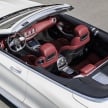 C217 Mercedes-Benz S-Class Coupe and A217 S-Class Cabriolet facelifts revealed – including AMG versions