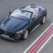 C217 Mercedes-Benz S-Class Coupe and A217 S-Class Cabriolet facelifts revealed – including AMG versions