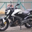 VIDEO: 15,600 km and 6 countries on a Dominar 400