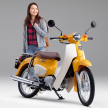 Honda Super Cub 50 dan Super Cub 110 diperbaharui – guna lampu LED, tambahan varian Pro dengan bakul