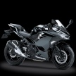 Kawasaki Ninja 250 FI baru dilancar di Indonesia – penampilan diubah, lebih berkuasa dan berprestasi