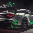 Bentley Continental GT3 – new race car revealed