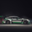 Bentley Continental GT3 – new race car revealed